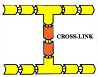 1-crosslink-color-copy-2